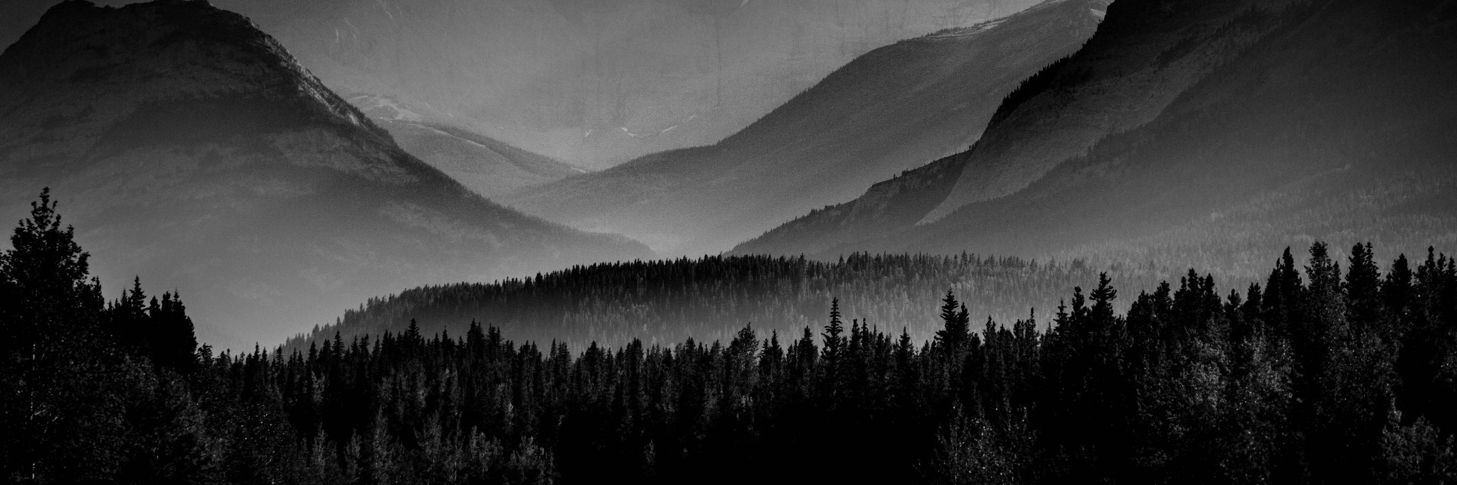 affarimedia's profile banner image