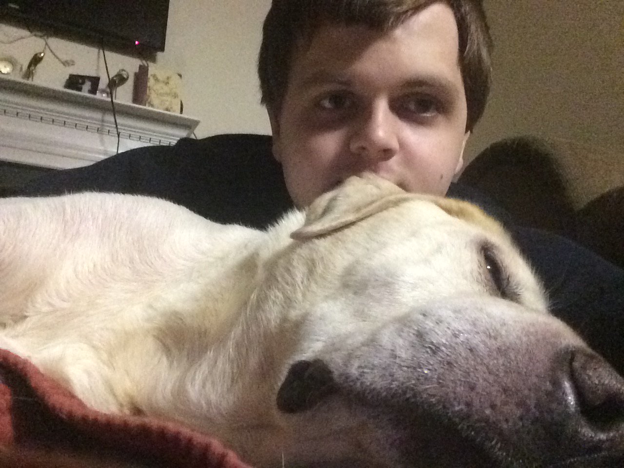 Shea Shell - NVT8 Finalist banner