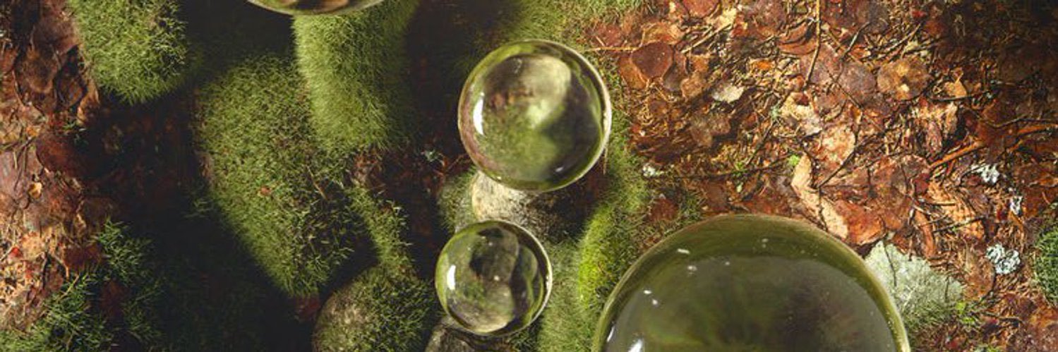 yerbaliciouss's profile banner image