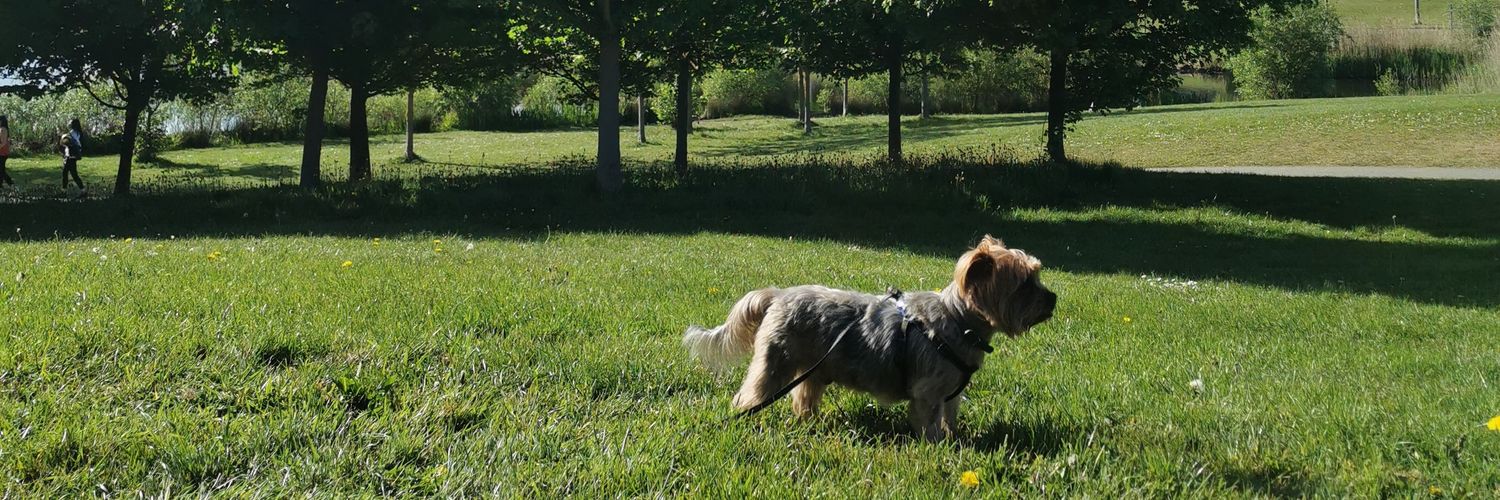 Eline Manaloto banner