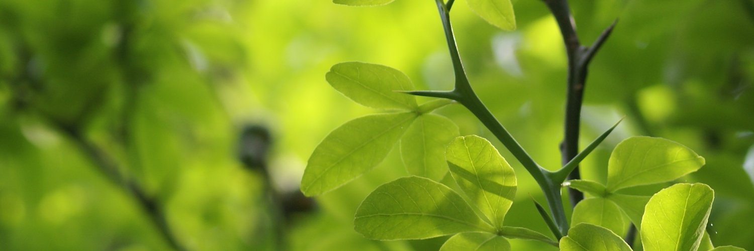 Masahiro Akizuki banner