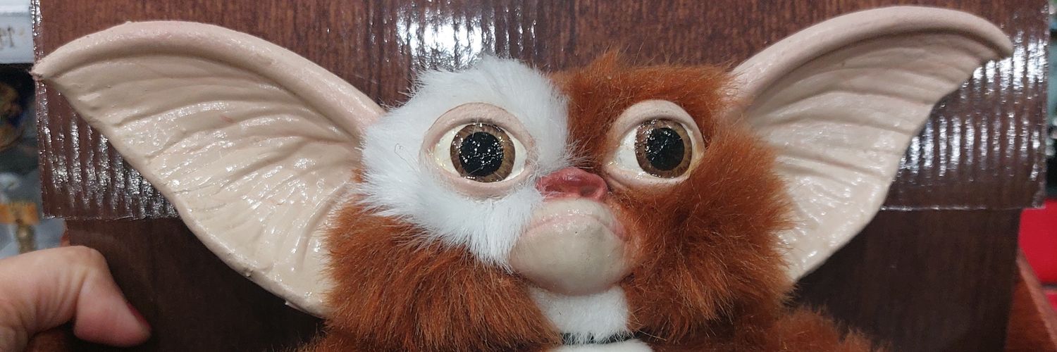 Koekjen's profile banner image