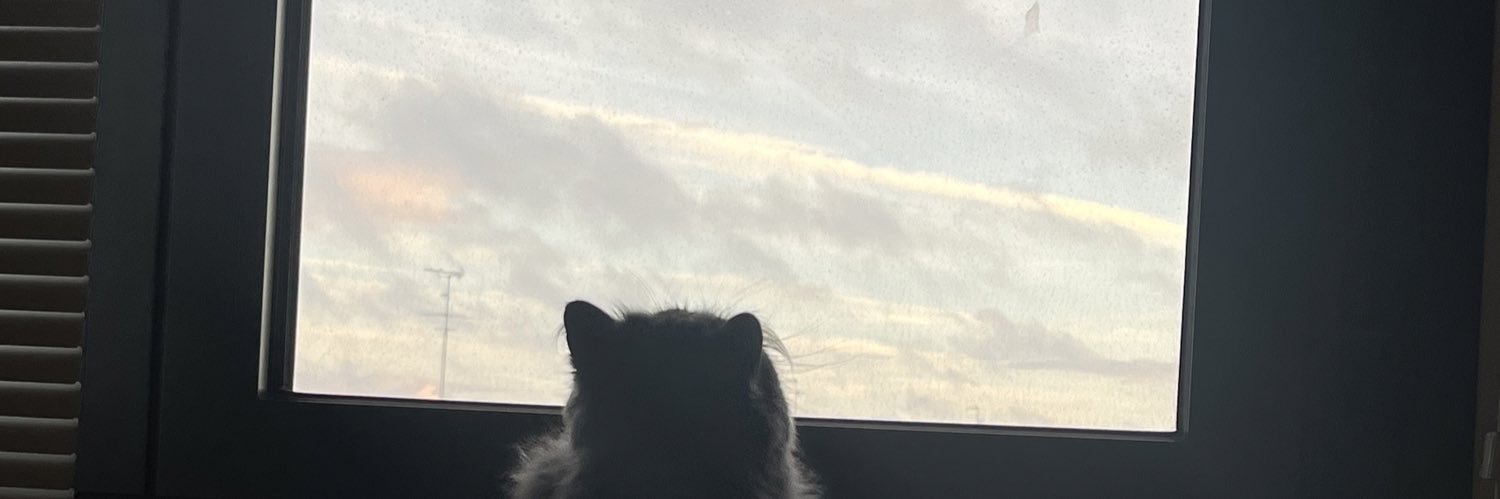 M banner