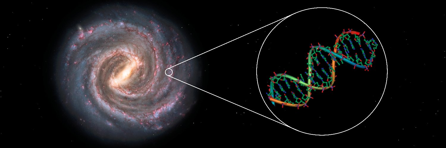 Klaus Paschek banner