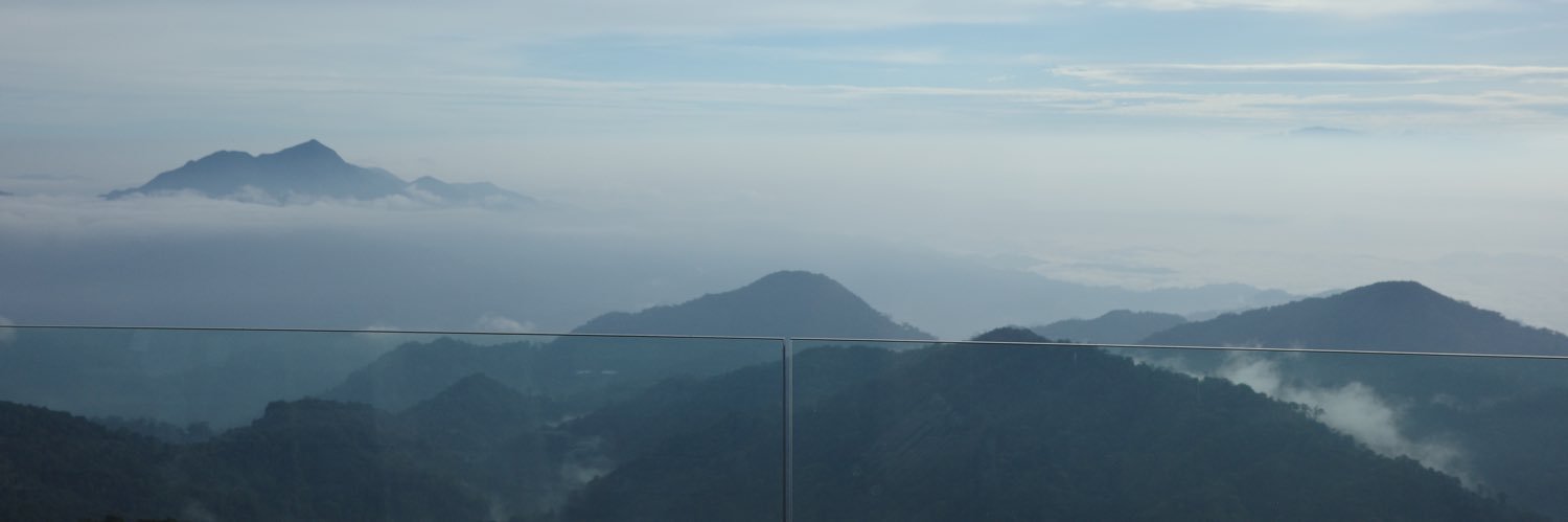 moosterize's profile banner image