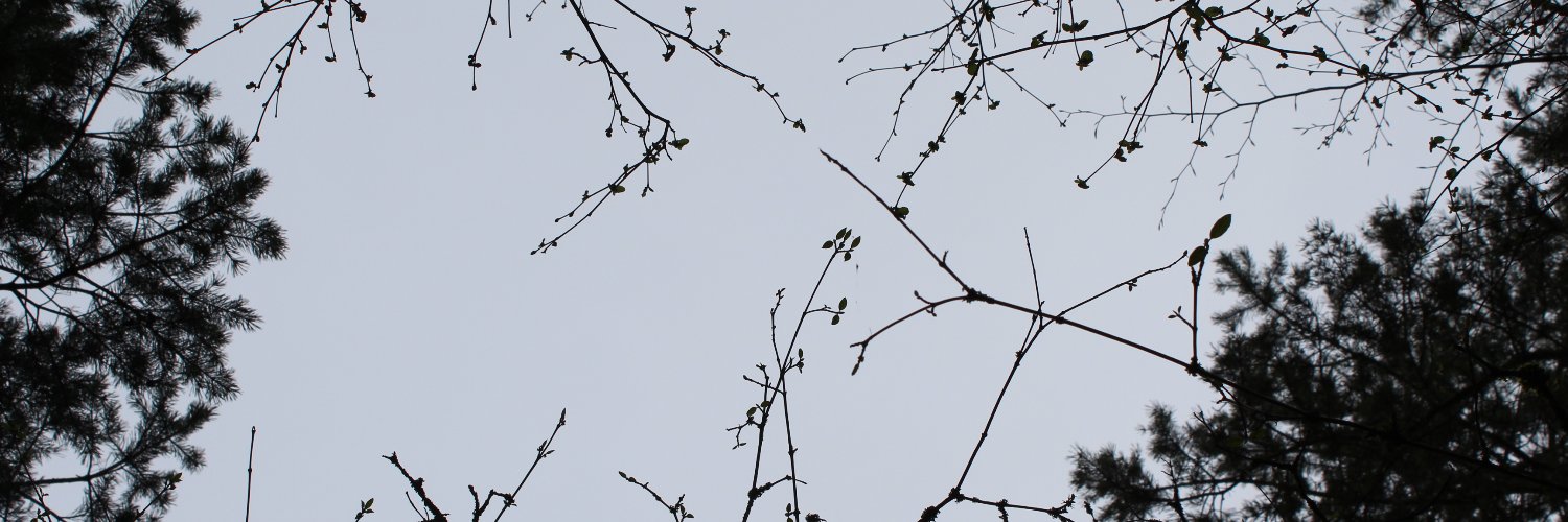 KarlTheBee's profile banner image