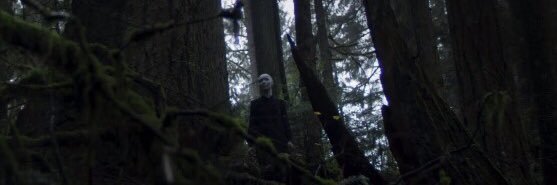 gusrodlopez's profile banner image