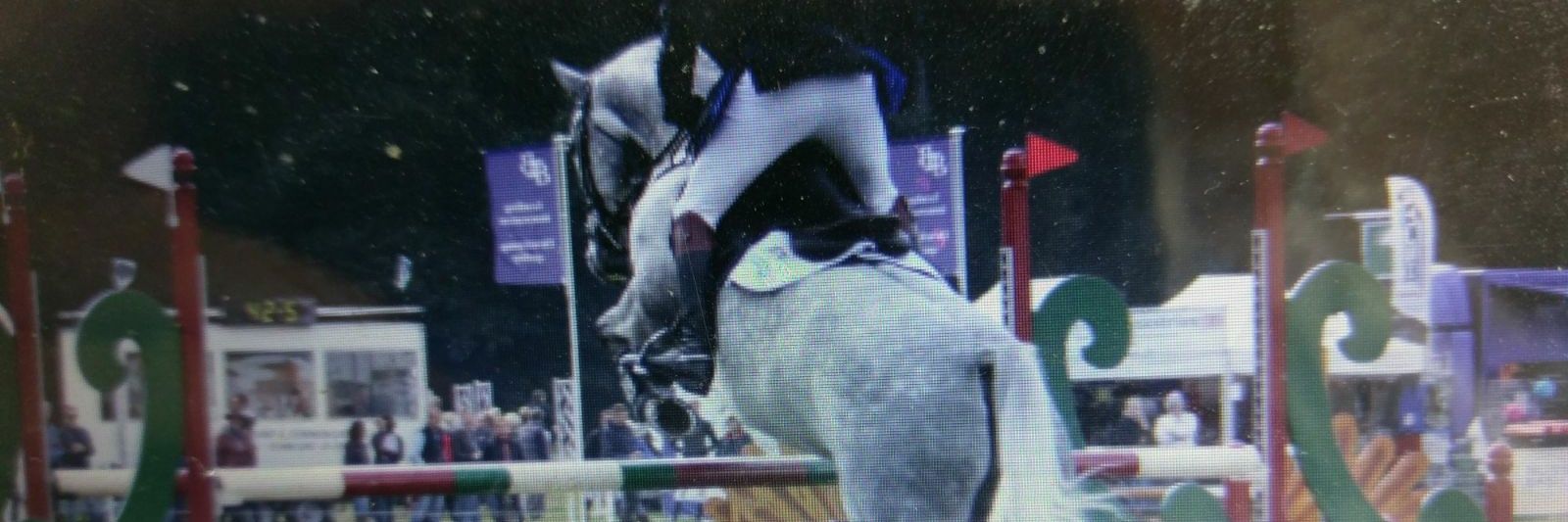 Jeni-the-Dragon banner