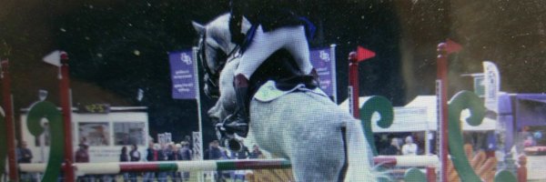 JenitheDragon Profile Banner