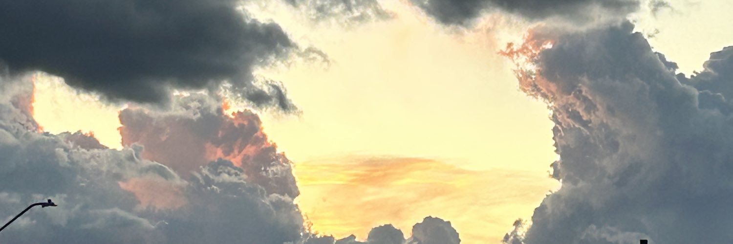 jponeles's profile banner image