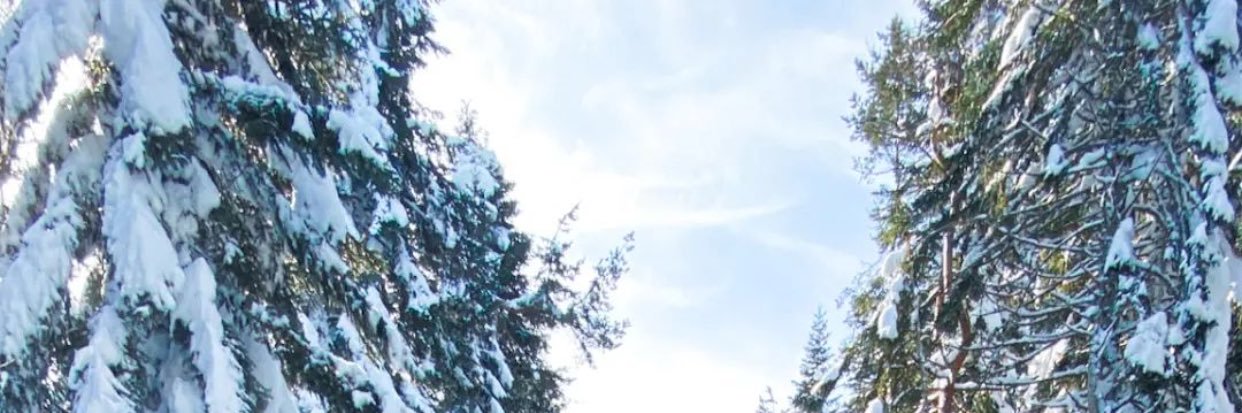 ToksMelis's profile banner image