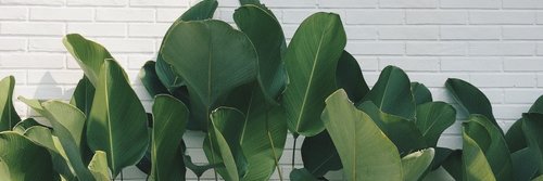 EmGursky's profile banner image