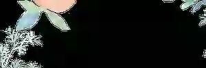 monacopm's profile banner image