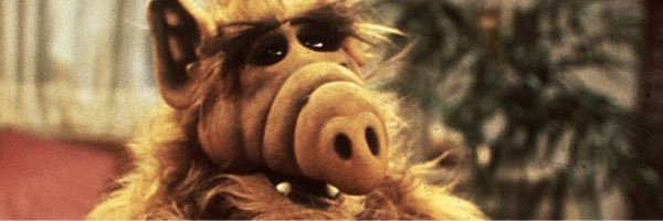 ShannonJSully's profile banner image