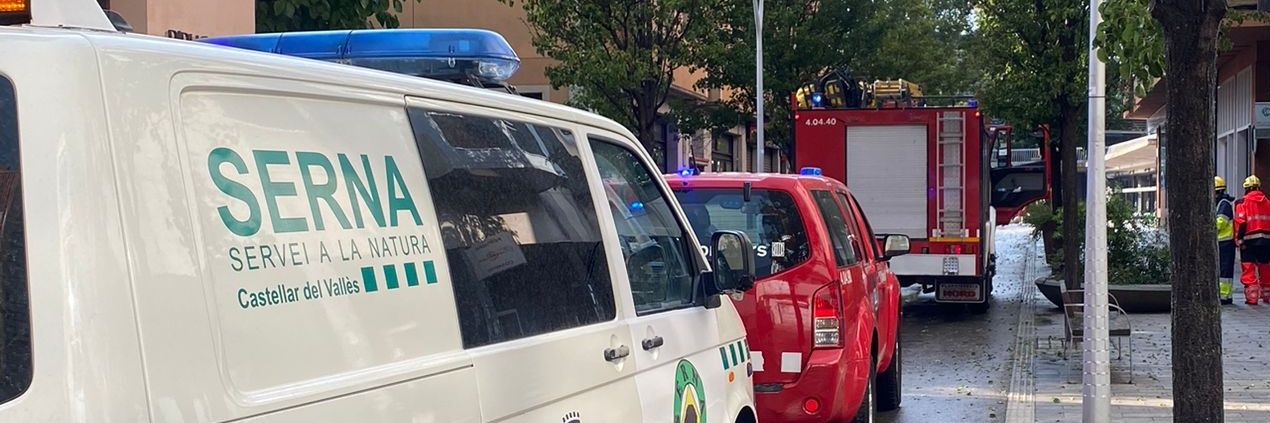 Òscar Moreno banner