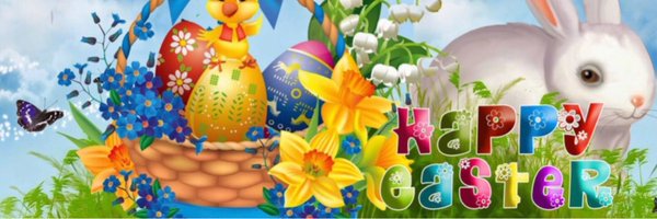 BorderUnion Profile Banner