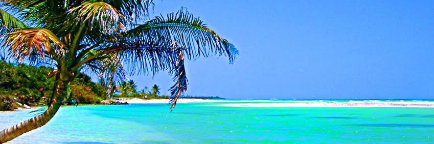 hab1_'s profile banner image