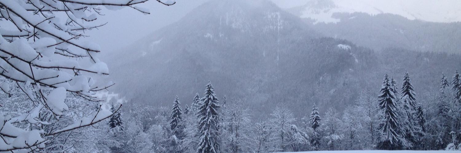 wlander31's profile banner image
