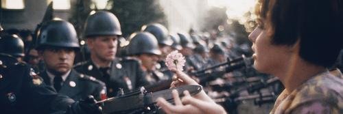 damlamemisoglu's profile banner image