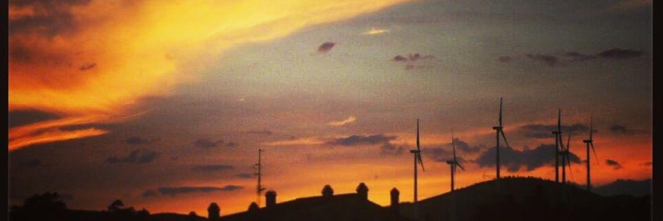 InesLiberal's profile banner image