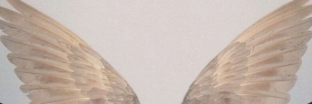 Saraherra's profile banner image