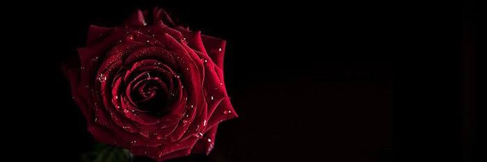 abcateeeyz's profile banner image