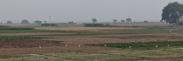 ShariqSC Profile Banner