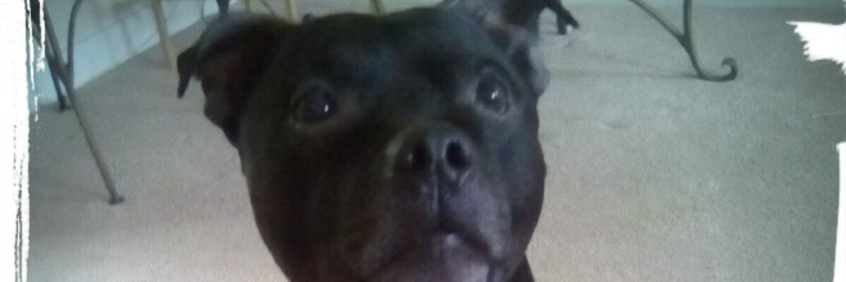 Jovichic1's profile banner image