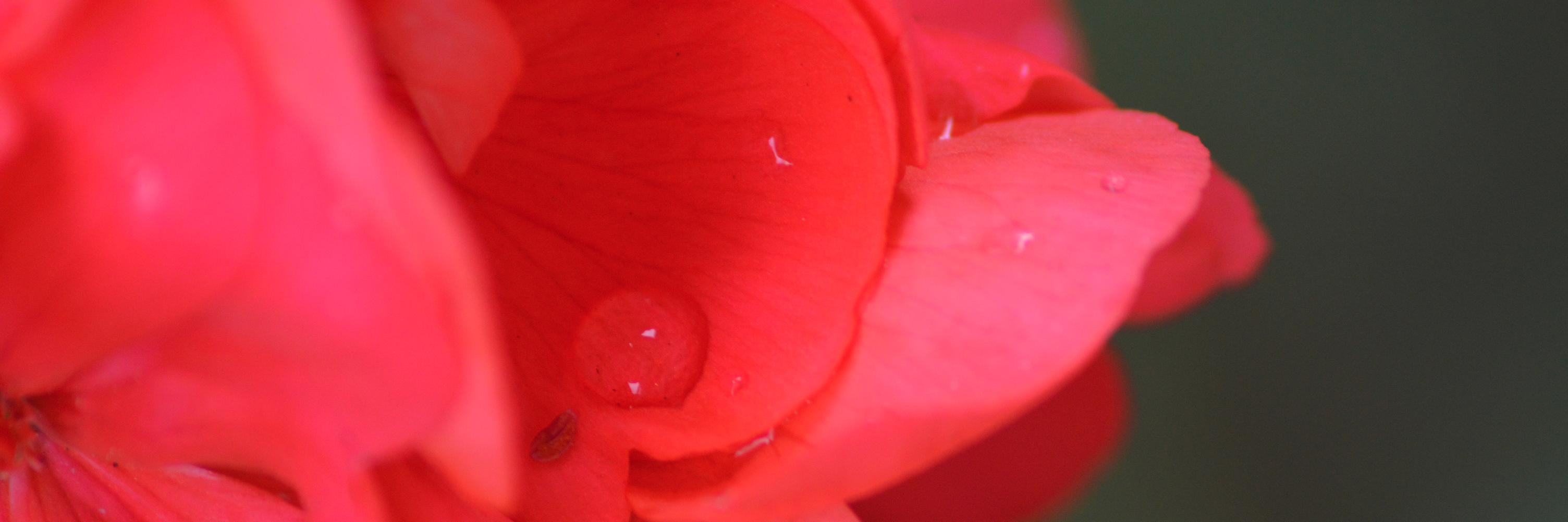RyRyMae's profile banner image