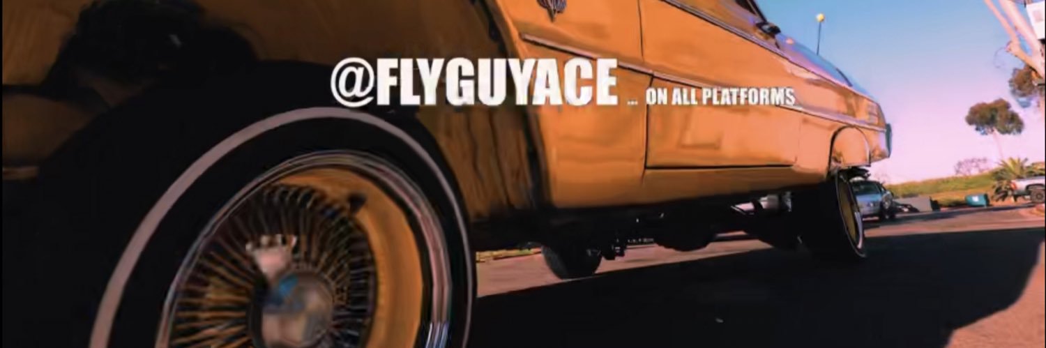 FlyGuyAce banner