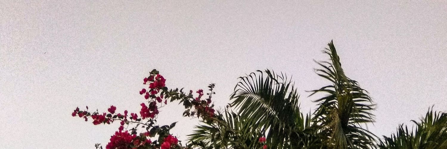 _JulianaChacon's profile banner image