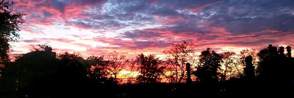 LlexyLou's profile banner image