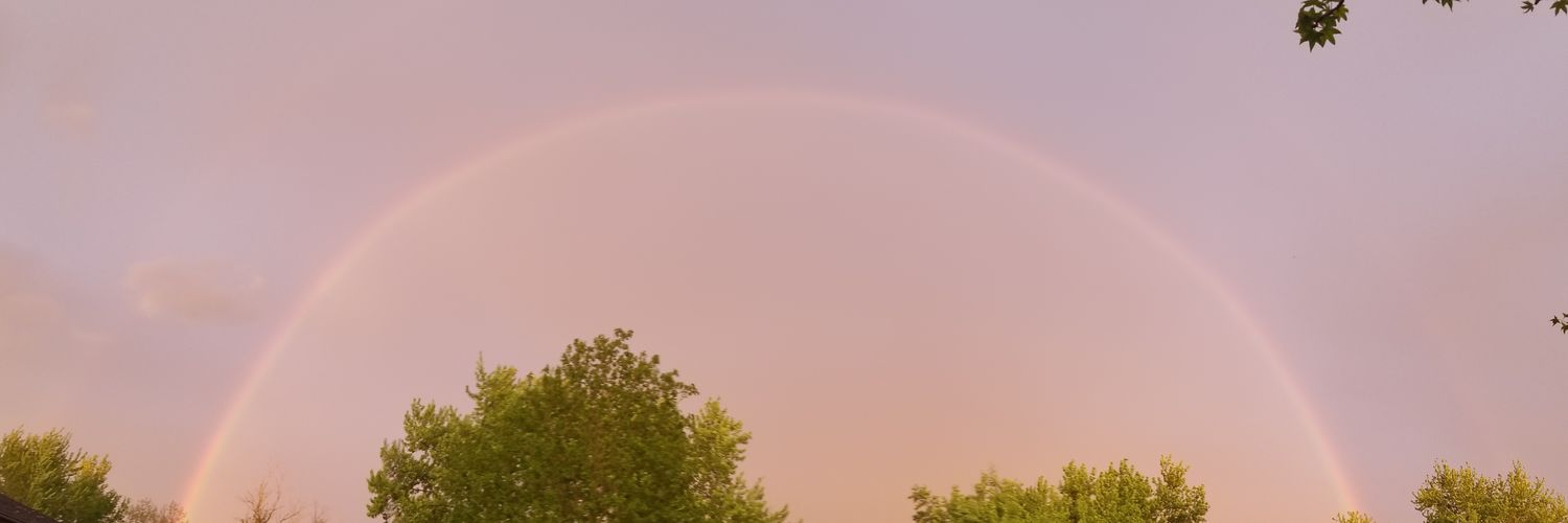 mckenholly's profile banner image