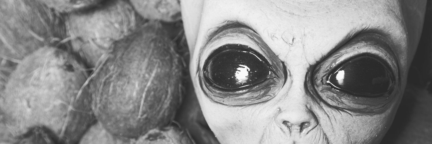 kyleandchin's profile banner image