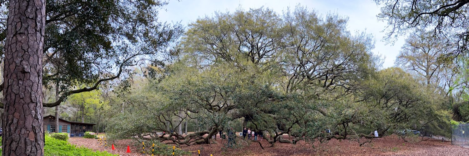 Terri Standish-Kuon banner