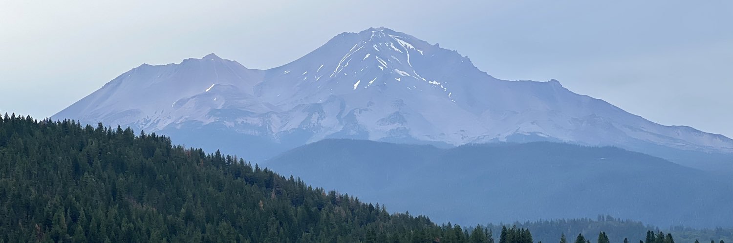 Rachel Powers banner