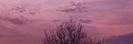 - banner