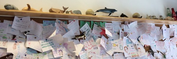 o_tomkilljerry Profile Banner