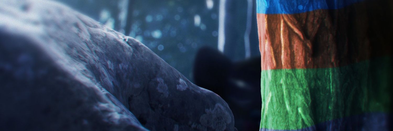 Farloparty🇩🇰 banner