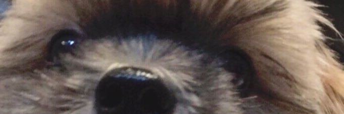 SnoopLys's profile banner image