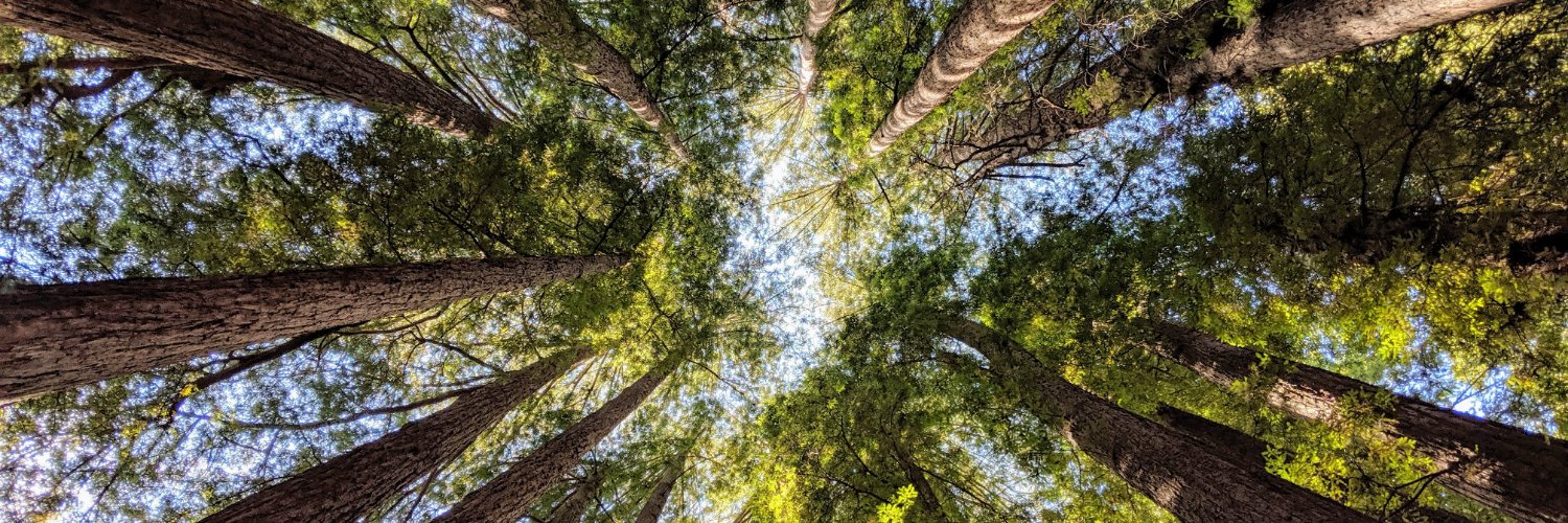 Cameron Hunter banner