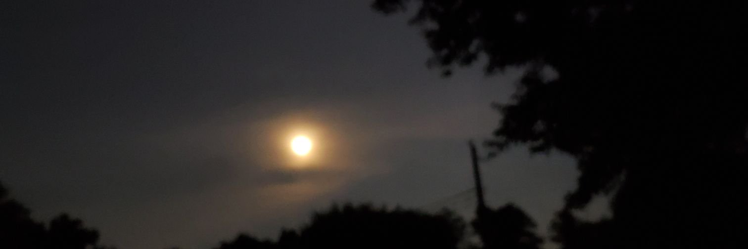 DaKid_LunA's profile banner image