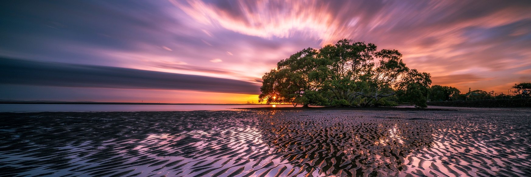 Kepler Trust Intelligence banner