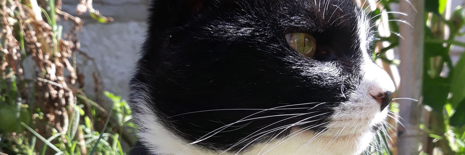 Cynthia_juarez_'s profile banner image