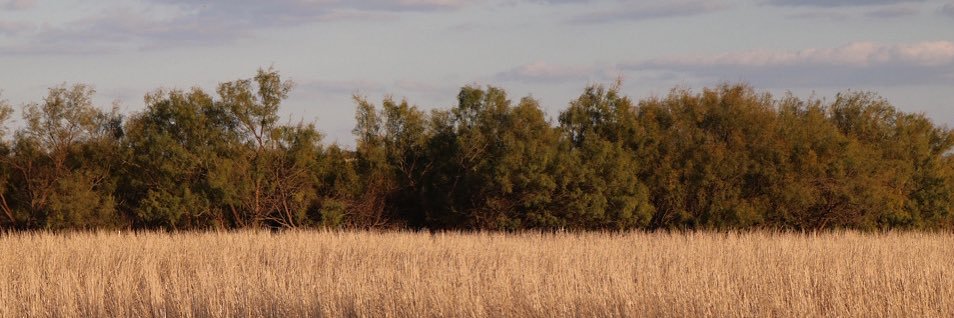 JenaSands's profile banner image
