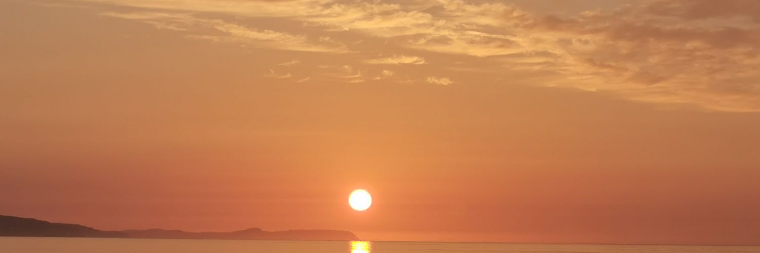 simarin_tandon's profile banner image