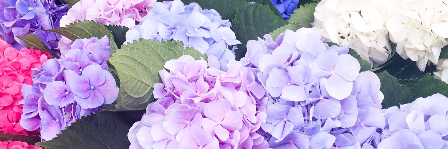 LettersMarion's profile banner image
