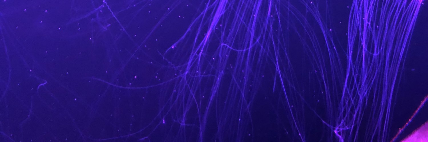 Caleb Burhans banner