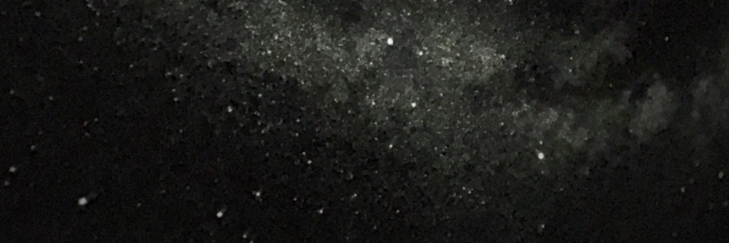 めかぶ / mekabu banner