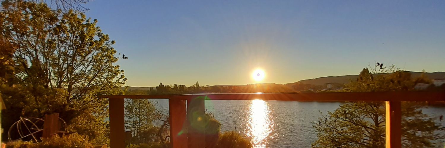 Lilian 🤟 banner